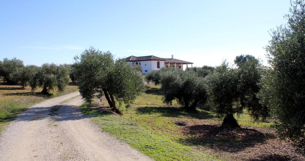 Casa Rural La Serrana La Carlota Extérieur photo