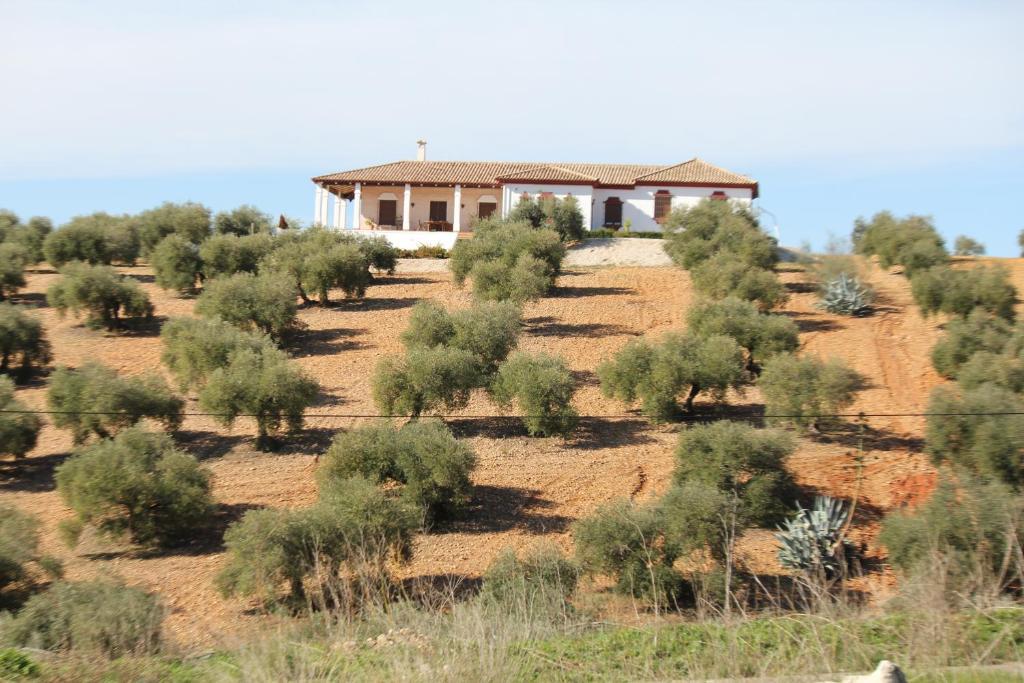 Casa Rural La Serrana La Carlota Extérieur photo